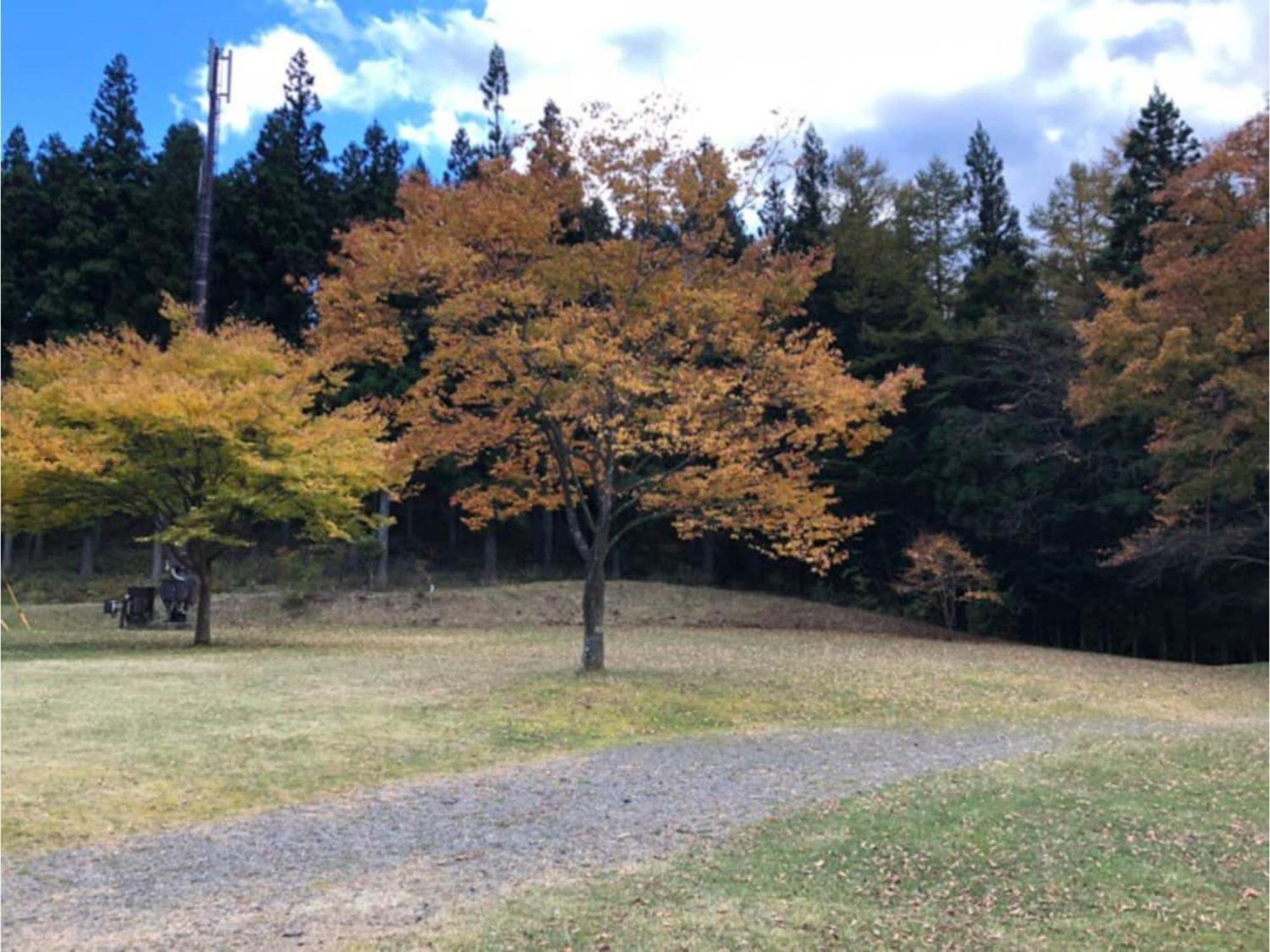 Polar Haus Minamikaruisawa1 - Vacation Stay 88000V Karuizava Kültér fotó